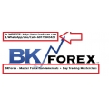 BKForex - Master Forex Fundamentals + Day Trading Masterclass (Enjoy Free BONUS Forex Juggernaut)