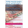 Pips Made Easy - Scalping With Fibonacci - Consistent profits within Forex trends! by Matthew Emerson
