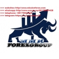 Market Makers Killers - MMK Forex Group (Total size: 2.83 GB Contains: 28 folders 70 files)