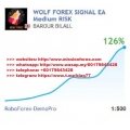 Wolf Forex Signal EA forex robot v 6.01 test unlimited.fixed
