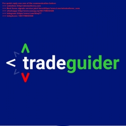 TradeGuider 2.5.3 eSignal (tradeguider.com)