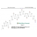 Alex Szweda - Elliott Wave Theory With Fibonacci (Enjoy Free BONUS Forex snipper software)