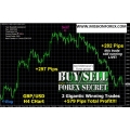 Buy Sell Forex Secret indicator (Enjoy Free BONUS Auto trend line Channel Surfer indicator)