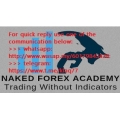 NAKED FOREX ACADEMY Trade without indicator course (Enjoy Free BONUS Larry Connors Professional Day Trading for Success Program)