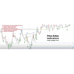 PRICE ACTION INDICATORS NT8 www.priceactionindicators.com (Total size: 1.6 MB Contains: 1 folder 6 files)
