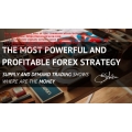 Big Forex Fortune online session day one