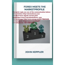 John Keppler - Forex Meets the Market Profile