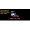 Al Brooks – Webinar from BigMike 2010,2011 (Total size: 274.9 MB Contains: 1 folder 6 files)