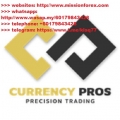 The Currency Pros - CurrencyPros (Total size: 1.36 GB Contains: 33 files)
