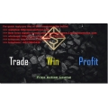 TWP Price Action Course (Total size: 3.45 GB Contains: 6 folders 39 files)