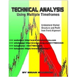 Brian Shannon - Technical Analysis Videos (Total size: 4.07 GB Contains: 7 files)