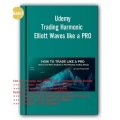 Trading Harmonic Elliott Waves like a PRO - CastAway Trader