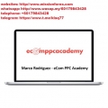 Marco Rodriguez – eCom PPC Academy  (Total size: 3.52 GB Contains: 1 folder 10 files)