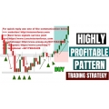 ADVANCED PRICE ACTION AND PATTERNS (Total size: 356.9 MB Contains: 5 files)