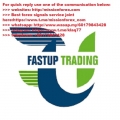 Fast-Up Trading Mentorship (Total size:904.4 MB Contains:21 files)