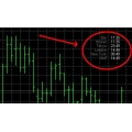 Clock indicators FOREX TOOL