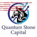 PDF´S Quantum Stone Capital (Total size: 10.9 MB Contains: 20 files)