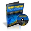 Chuck Low - Forex Trading for Newbies 