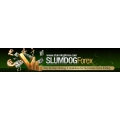 Slumdog forex trading system (SEE 2 MORE Unbelievable BONUS INSIDE!) Forex Day Trading Dashboard Indicator