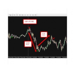 Leading signals that do not repaint-FOREX INDICATOR 