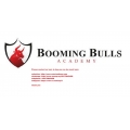 Booming Bulls (Indian Market) Trading Course and indicators
