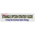 Strangle Options Trading & Innovative Income Strategy (Total size: 403.7 MB Contains: 1 folder 6 files)