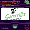 Forex Course - Guerrilla Trading Strategy