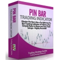 Raman Gill - PinBar Trading Indicator PinBar Training Course Unlimited MT4 System Forex Fx