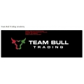 Team Bull Trading Academy (Total size: 5.21 GB Contains: 16 folders 51 files)