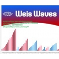 David Weis on Wyckoff Support Resistance and Waves (Total size: 174.8 MB Contains: 6 files)