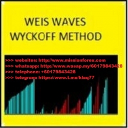 Wyckoff Weis Williams Course (Total size: 942.3 MB Contains: 2 folders 23 files)
